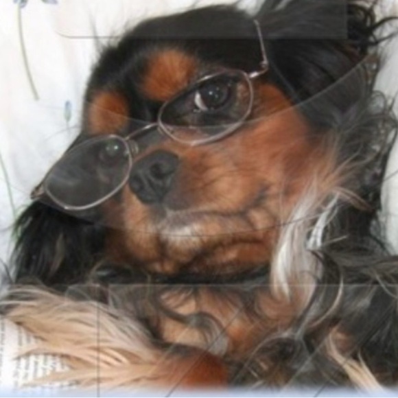 Meet your Posher, Rian - Picture 2 of 2